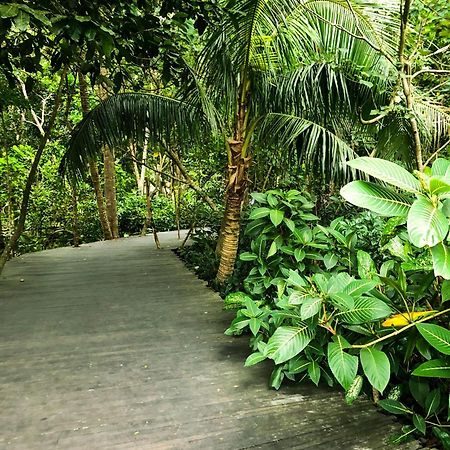 Rayshiva Homestay Убуд Екстериор снимка